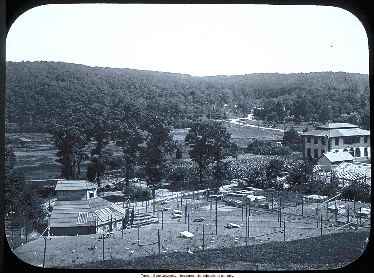 Chicken coops and first hybrid corn (behind) at Carnegie Station for Experimental Evolution, Cold Spring Harbor, N.Y.